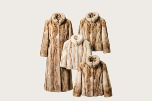 楚雄回收皮草衣服
